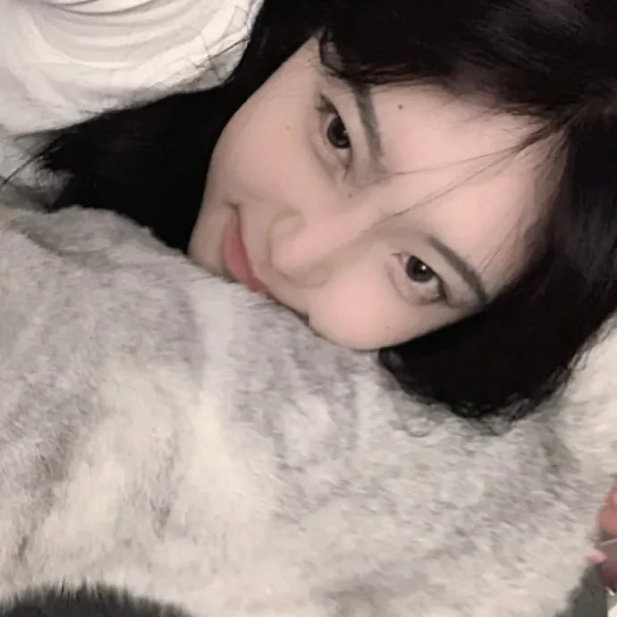 我的疯狂书迷