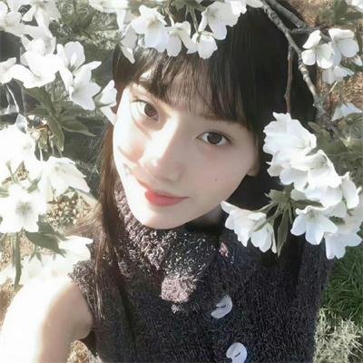 蝴蝶